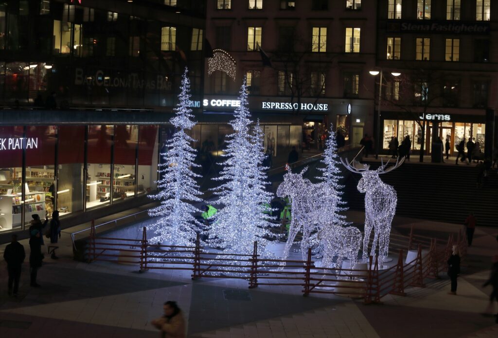 Glowing White Christmas Lights And Trees