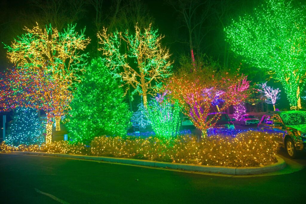 Glowing Christmas Lights And Trees With Multiple Colors