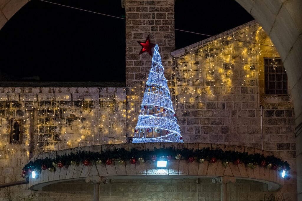 Glowing Christmas Lights And Trees