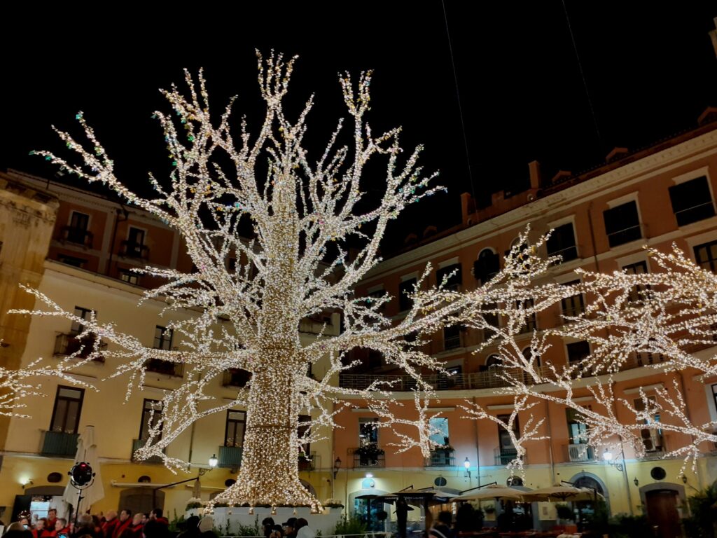 Glowing White Christmas Lights And Trees At Home