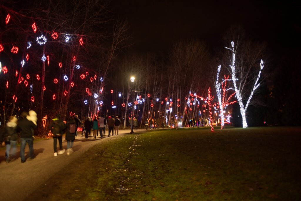 Glowing Christmas Lights And Trees At Park