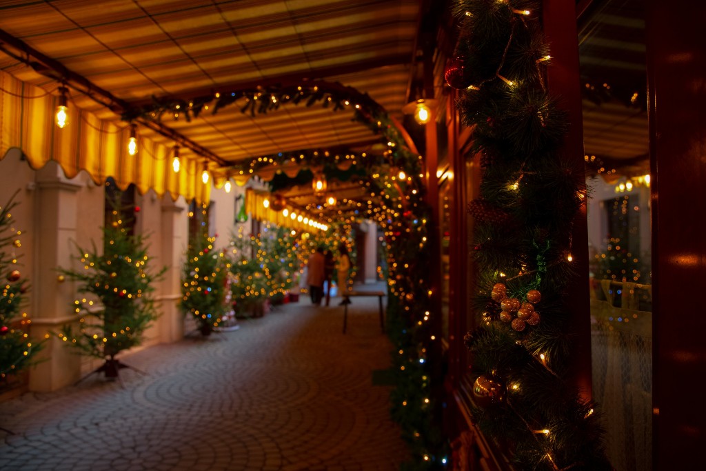 Glowing Christmas Lights And Trees