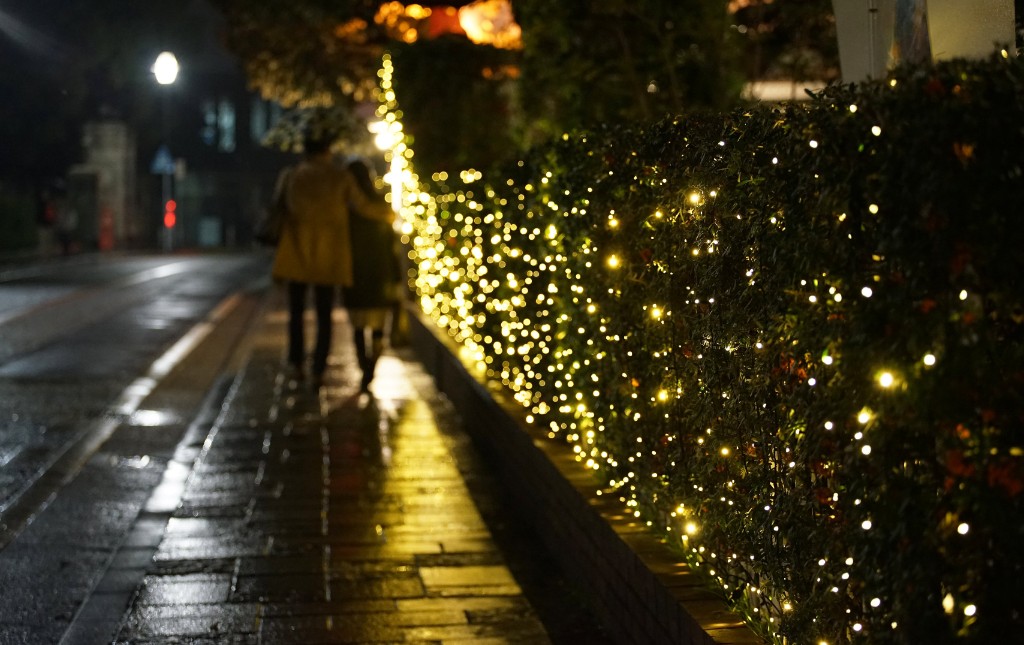 Glowing Christmas Lights And Trees