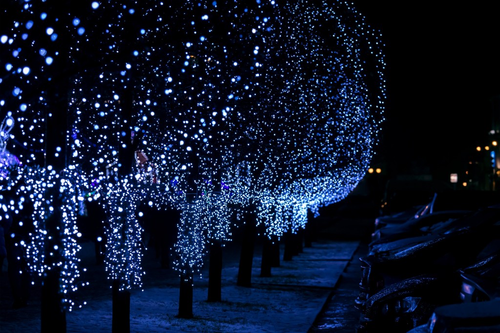Glowing Blue Christmas Lights And Trees