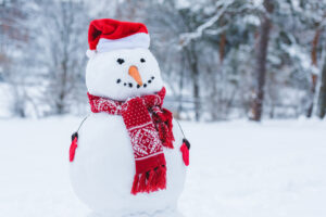Read more about the article The History of the Snowman