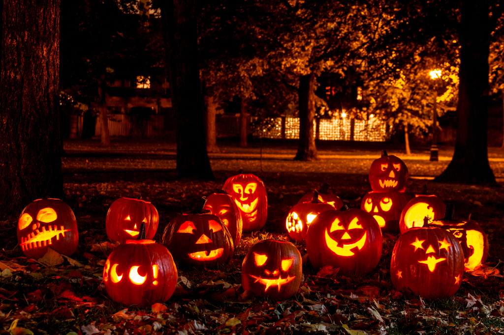 Pumpkin are outside on helloween night